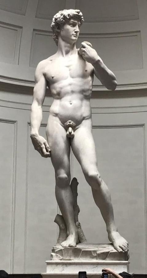 Dependace Il David Di Michelangelo Leilighet Firenze Eksteriør bilde